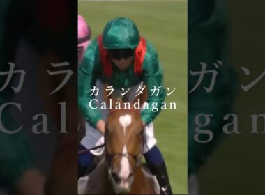 競馬 '25 ジャパンカップ ～STARTINGFORCE～ #競馬