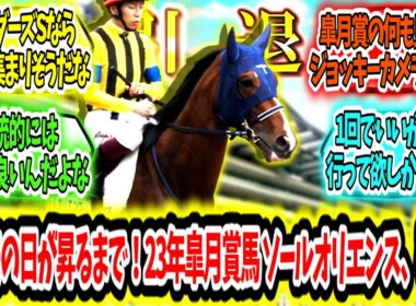 『またその日が昇るまで！2023年皐月賞馬 ソールオリエンス、引退。』に対するみんなの反応【競馬の反応集】