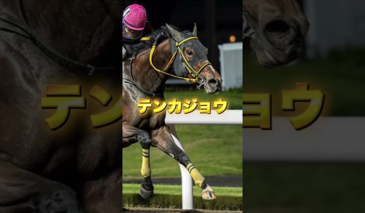 G1チャンピオンズカップの穴馬を3頭紹介＃競馬＃競馬予想＃サンライズジパング＃テンカジョウ＃ラムジェット
