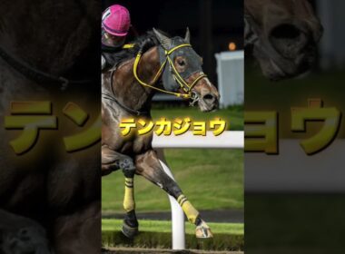 G1チャンピオンズカップの穴馬を3頭紹介＃競馬＃競馬予想＃サンライズジパング＃テンカジョウ＃ラムジェット