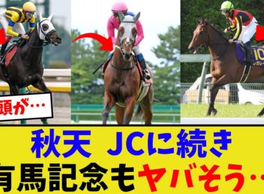 どうなる今年の有馬記念…【競馬反応集】