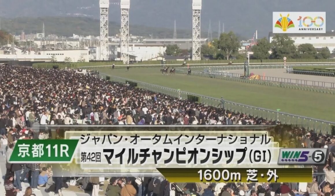 【競馬】第42回 マイルチャンピオンシップ［GI］本馬場入場