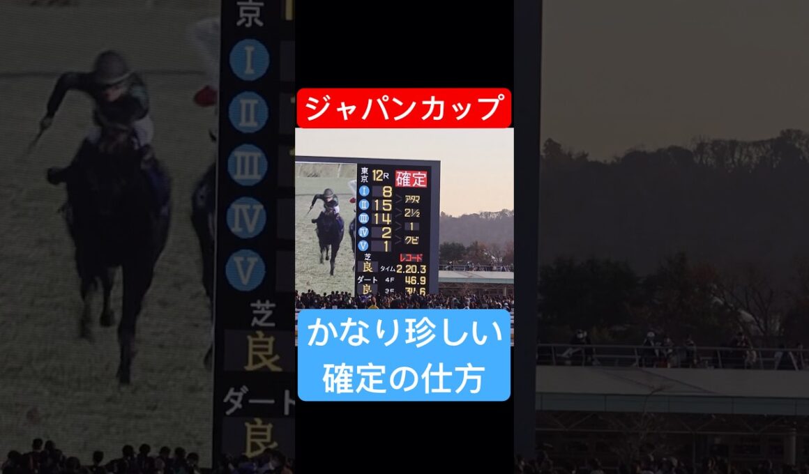 【ジャパンカップ2025】 戸崎圭太騎手とC.ルメール騎手が入線後に落馬したことで滅多に聞かないアナウンスと共に確定する #ジャパンカップ #競馬 #shorts