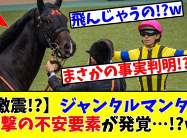 【マイルCS】【激震!?】ジャンタルマンタル衝撃の不安要素が発覚してしまう…!?www