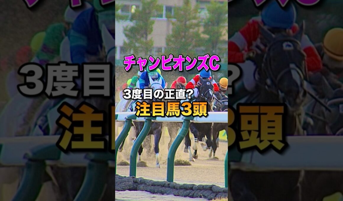 【チャンピオンズカップ2025】注目馬3頭