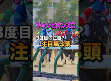 【チャンピオンズカップ2025】注目馬3頭