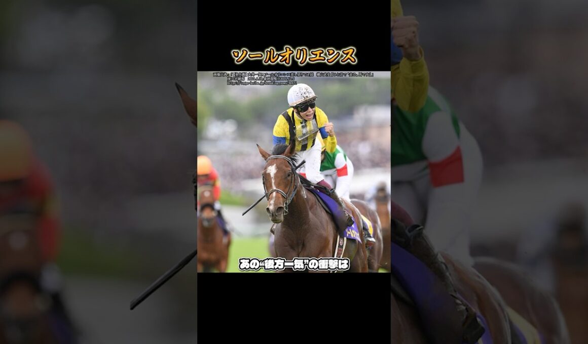 2023年皐月賞馬ソールオリエンスの競走馬時代を振り返る #shorts #競馬 #馬 #ソールオリエンス  #皐月賞 #日本ダービー #菊花賞 #宝塚記念 #天皇賞 #ジャパンカップ #横山武史