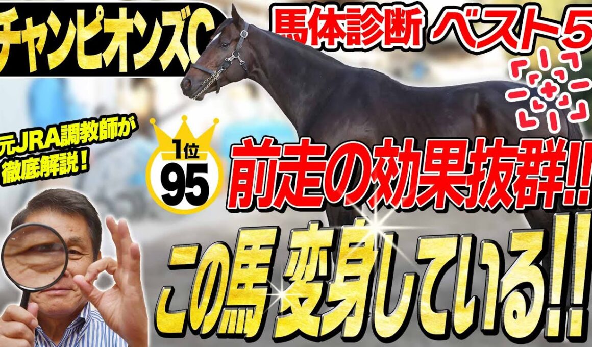 【チャンピオンズC2025】中村均元調教師が馬体診断ベスト５を発表　コンバート大成功？ナルカミやウィルソンテソーロを抑えて1位になった馬とは？《東スポ競馬》