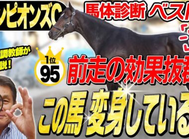 【チャンピオンズC2025】中村均元調教師が馬体診断ベスト５を発表　コンバート大成功？ナルカミやウィルソンテソーロを抑えて1位になった馬とは？《東スポ競馬》