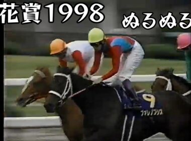 ファレノプシス 桜花賞 1998 ぬるぬる化で見よう conv to 60fps