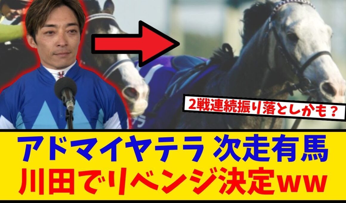 【有馬記念】「アドマイヤテラ 次走有馬記念 川田とのコンビでリベンジ決定ww」に対するみんなの反応【反応集】