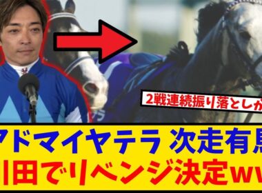 【有馬記念】「アドマイヤテラ 次走有馬記念 川田とのコンビでリベンジ決定ww」に対するみんなの反応【反応集】