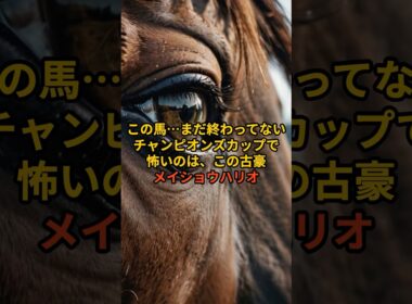 【チャンピオンズC】メイショウハリオ、8歳でも侮れない理由。#チャンピオンズカップ#メイショウハリオ#競馬予想