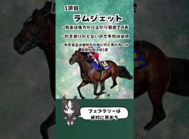 【チャンピオンズカップ2025】抑えておきたい穴馬2頭‼︎#競馬 #チャンピオンズカップ #競馬予想 #shorts