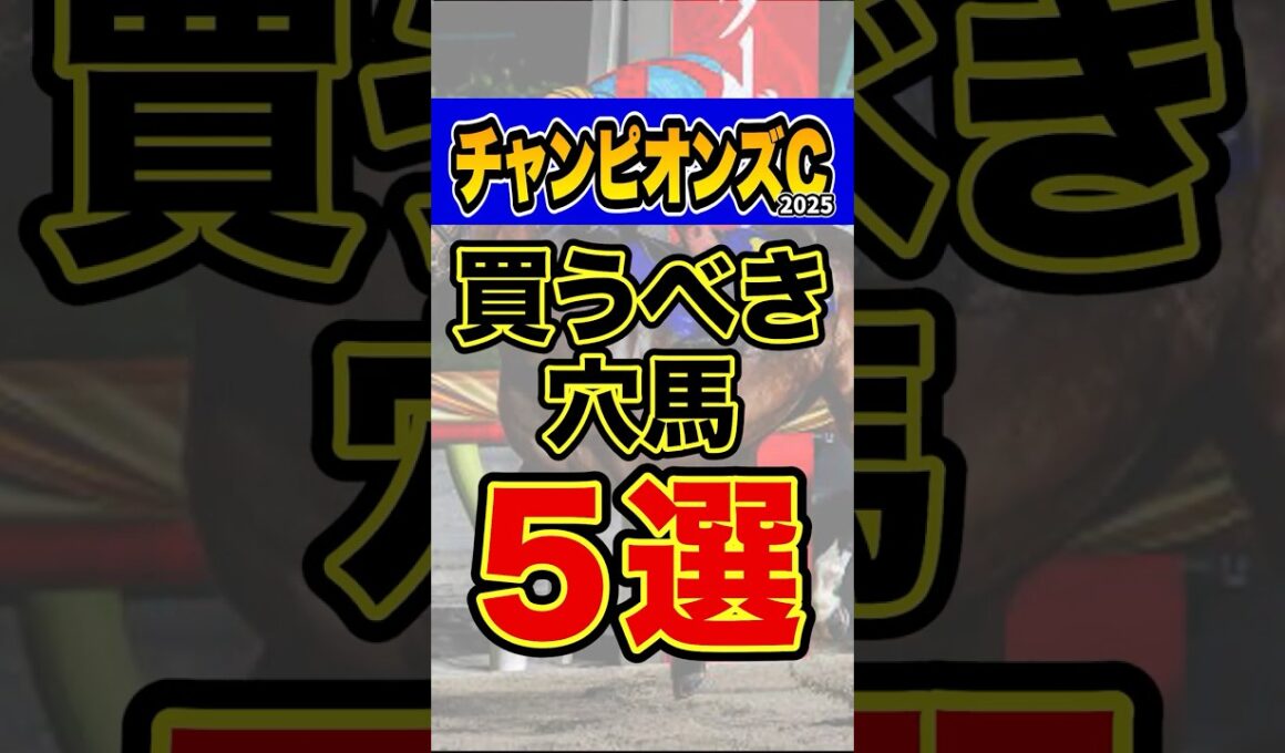 能力以上にオッズがついてる妙味馬 #競馬 #チャンピオンズカップ #shorts