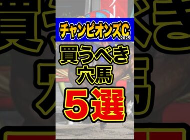 能力以上にオッズがついてる妙味馬 #競馬 #チャンピオンズカップ #shorts