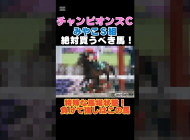 【チャンピオンズカップ2025】みやこＳ組から絶対買うべき馬！特殊な馬場状態で負けて強しはこの馬！