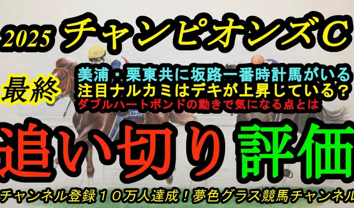 【最終追い切り評価】2025チャンピオンズカップ！注目ナルカミは我慢をして前走より上昇した？ダブルハートボンドの気になる点は？美浦、栗東共に坂路一番時計馬がいる！