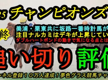 【最終追い切り評価】2025チャンピオンズカップ！注目ナルカミは我慢をして前走より上昇した？ダブルハートボンドの気になる点は？美浦、栗東共に坂路一番時計馬がいる！