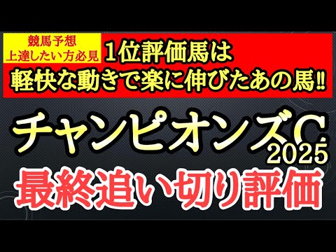 【チャンピオンズカップ2025】最終追い切り評価TOPは素軽い走りでスイスイと加速できていたあの馬から！