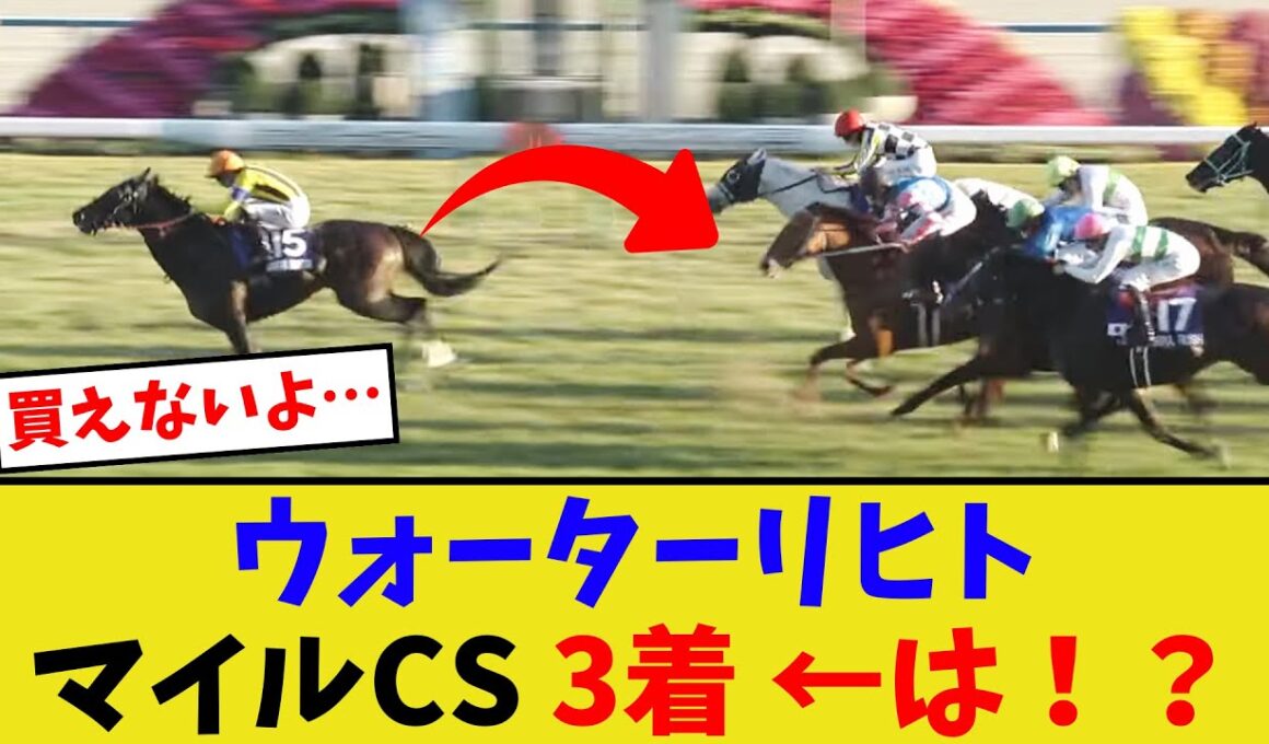 ウォーターリヒト、マイルチャンピオンシップ3着…【競馬反応集】