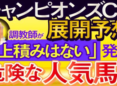 【チャンピオンズカップ2025展開予想・データ分析】調教師が上積みはない発言の危険な人気馬！ダブルハートボンド、ナルカミ、ウィルソンテソーロ、シックスペンス、ルクソールカフェ、ルメール、武豊など参戦