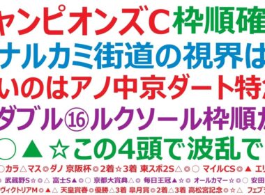 チャンピオンズカップ2025枠順確定　⑫ナルカミ街道の視界は？！怖いのはアノ中京ダート特急の馬！②ダブルハートボンド、⑯ルクソールカフェ。この枠順は？◎○▲☆この4頭で波乱ですね！