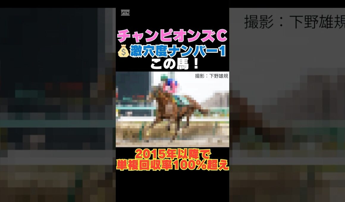 【チャンピオンズカップ2025】激穴度ナンバー1はこの馬💰2015年以降で単複回収率100％超え！