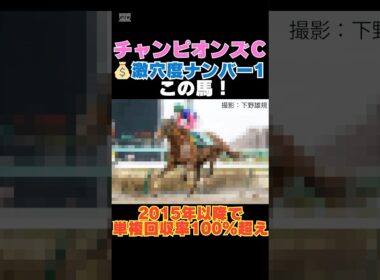 【チャンピオンズカップ2025】激穴度ナンバー1はこの馬💰2015年以降で単複回収率100％超え！
