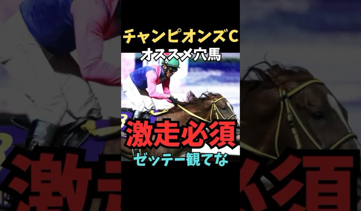 【チャンピオンズカップ2025】オススメ穴馬/激走必須#チャンピオンズc #メイショウハリオ #競馬 #競馬予想 #競馬予想tv #中央競馬予想 #ウマキング #うまログ #義英真 #shorts