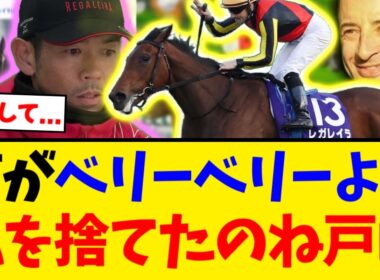 【修羅場】手が合っていたのに乗り替わり？レガレイラ 有馬記念の鞍上はルメールに決定【競馬反応集】【2ch】