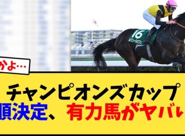【チャンピオンズC】チャンピオンズカップ枠順決定、有力馬がヤバい…【競馬反応集】