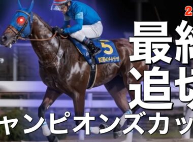 🎯【チャンピオンズカップ2025】最終追い切り評価 | 1番人気のナルカミは本調子なのか⁉️ダブルハートボンドはサンビスタに続ける牝馬か⁉️ルクソールカフェには米国トップジョッキーF・ジェルーが‼️
