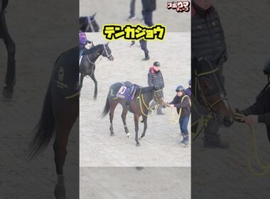 【チャンピオンズカップ出走予定】テンカジョウ　栗東での様子