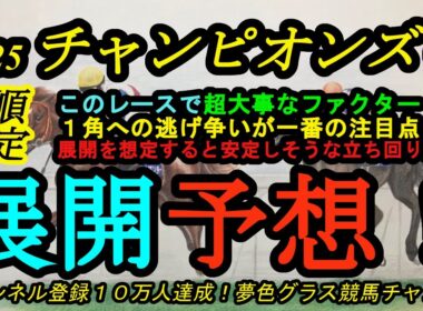 【展開予想】2025チャンピオンズカップ枠順確定！中京競馬場のこの舞台で最重要ファクター！？1角までの先行争いがペースの鍵を握る！