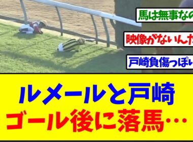 【ジャパンカップ2025】ルメールと戸崎、ゴール後に落馬…【反応集】