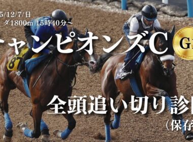 【チャンピオンズカップ(G1)2025】全頭追い切りを調教診断！ナルカミ・ダブルハートボンド・ルクソールカフェ・シックスペンス・ウィルソンテソーロ等(12月7日日曜日・中京競馬場・ダート1800m）