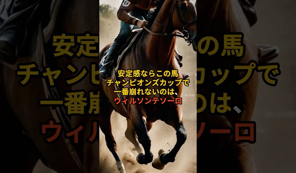 【チャンピオンズC】ウィルソンテソーロが崩れない理由。#チャンピオンズカップ#ウィルソンテソーロ#競馬予想