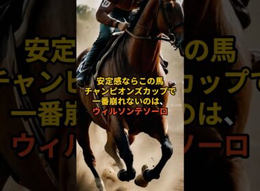 【チャンピオンズC】ウィルソンテソーロが崩れない理由。#チャンピオンズカップ#ウィルソンテソーロ#競馬予想