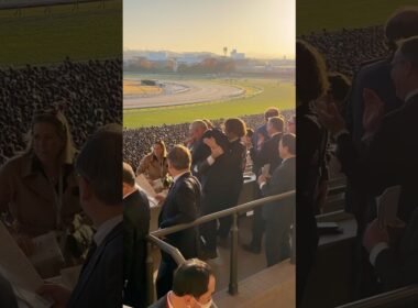 カランダガン関係者の喜びの瞬間 #カランダガン #ジャパンカップ #マスカレードボール