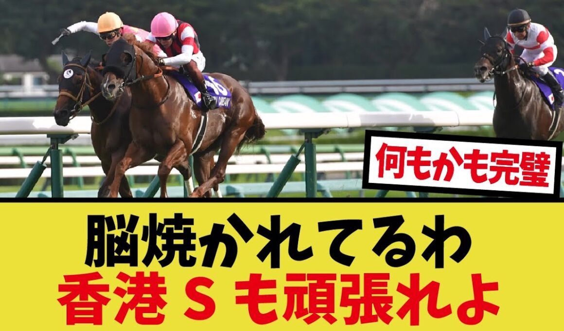 「25スプリンターズステークス好きすぎる……」に対するみんなの反応集