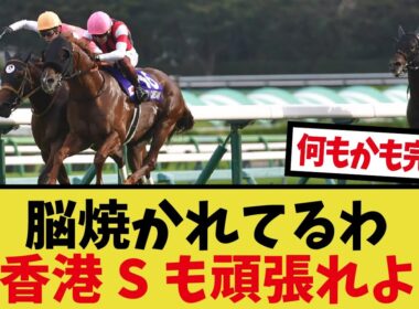 「25スプリンターズステークス好きすぎる……」に対するみんなの反応集