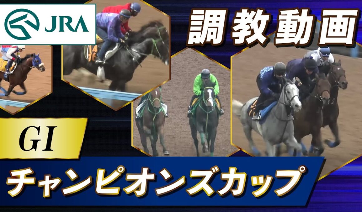 【調教動画】2025年 チャンピオンズカップ｜JRA公式