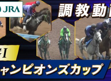 【調教動画】2025年 チャンピオンズカップ｜JRA公式
