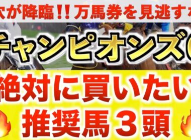 【チャンピオンズC2025 予想】ナルカミ過去最高のデキ？プロが"全頭診断"から導く絶好の3頭！
