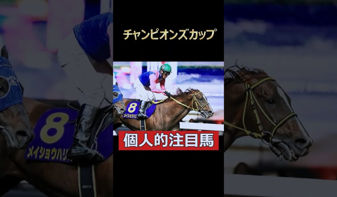 引退レースをレジェンドと！メイショウハリオ！ #競馬 #チャンピオンズカップ