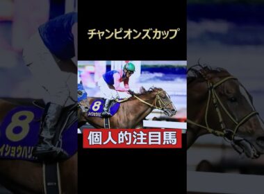 引退レースをレジェンドと！メイショウハリオ！ #競馬 #チャンピオンズカップ