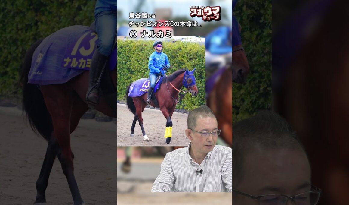 【チャンピオンズC】鳥谷越記者の本命は... #shorts #競馬予想 #チャンピオンズカップ
