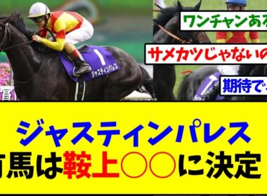 ジャスティンパレス有馬記念は○○…頼んだぞ…【反応集】