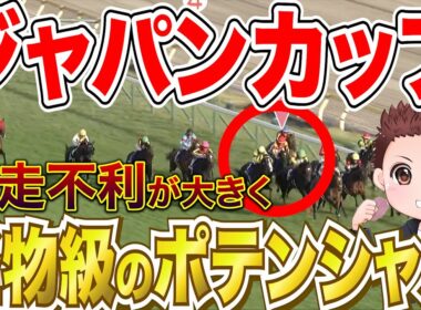 【ジャパンカップ】前走不利が大きく巻き返しに期待できる馬2頭！前走回顧まとめ #競馬 #ジャパンC  #ジャパンカップ2025